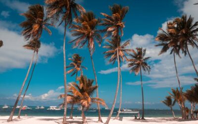 Préparer un voyage réussi de Nice à Punta Cana